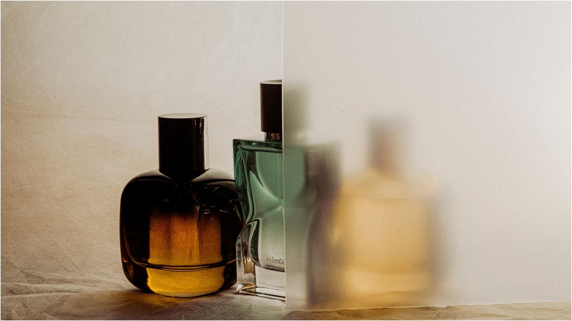 Premium perfume collection